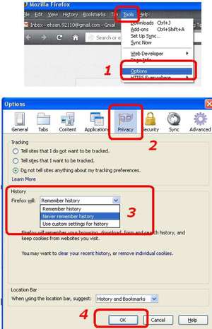 manage firefox browsing history 