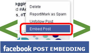 Now Share Your Facebook Post in Blogs by Post Embedding