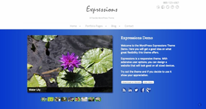 expressions wordpress photo theme