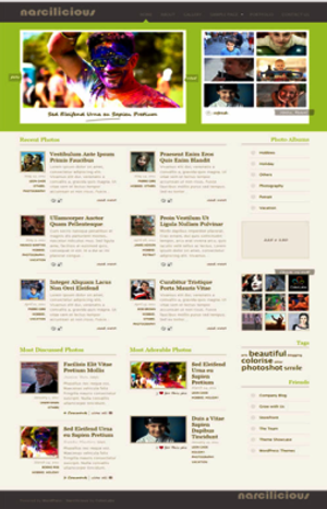 Narcilicious wordpress theme