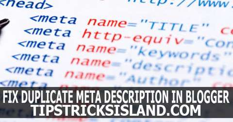 How to Fix Duplicate Meta Description Tag - An Island for Blogging Tips ...
