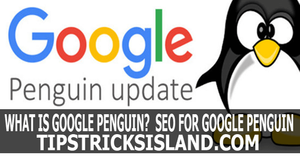 what is google pengin SEO for Google Pengiun