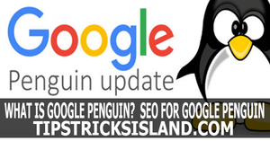 Google Penguin?  SEO for Google Penguin