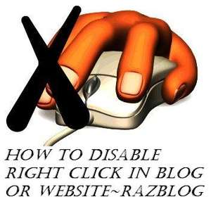 How to Disable Right Click in Website or Blog